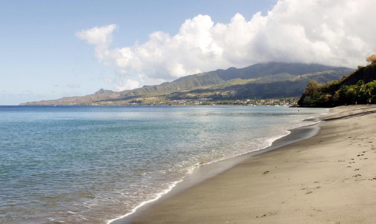 Imagine972 Martinique Bateau Hotel A Quai Le Marin 3 Cabines 3 Salles De Bains 6 Pers Maxi Exterior foto